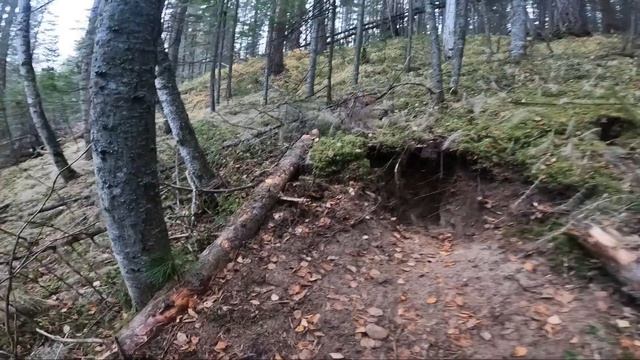 ГОТОВИМ УГОДЬЯ К СЕЗОНУ. ЧИСТКА И РЕМОНТ ПУТИКА. смотреть онлайн