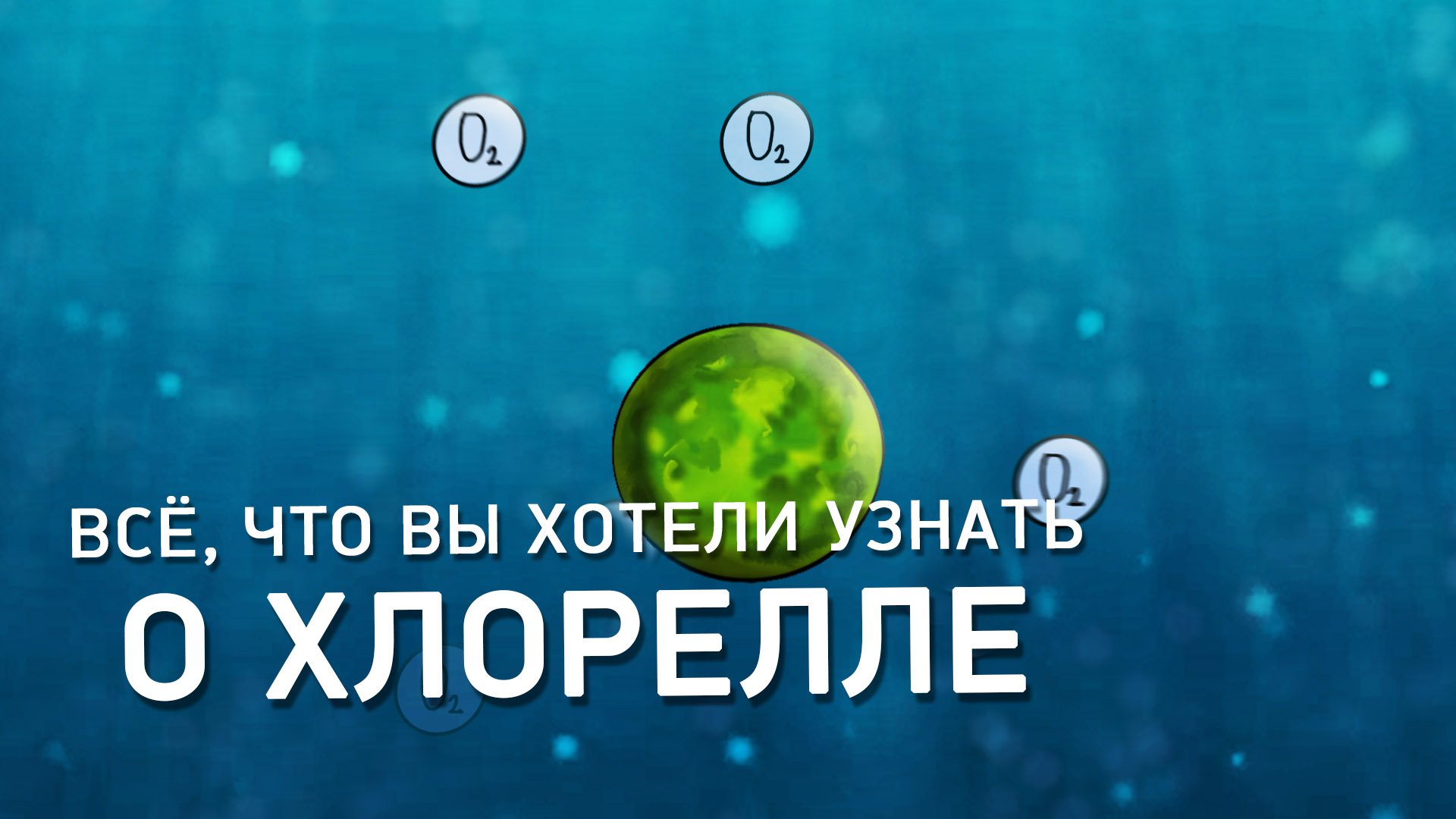 Что такое Хлорелла и как давно она существует на нашей планете? Технология "Альготек"