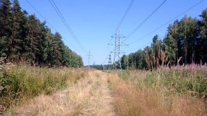 Жаркое утро у ЛЭП. Июль 2022