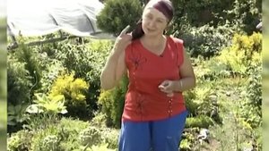 Сколько кустов жимолости высаживать на садовом участке?