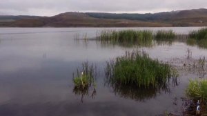 Карабаш/Не плохой клёв/ Карась/Окунь #татарстан#рыбалка#fish