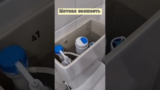 ?БЛАГОРОДНЫЙ АРОМАТ МЯТЫ, ДЕЗИНФЕКЦИЯ И МЯГКО ОЧИЩАЮЩАЯ ПЕНА в туалете при помощи остатков пасты. смотреть онлайн