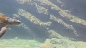 Причины бесплодия