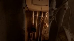 Катёл на пропане сжиженый газ.