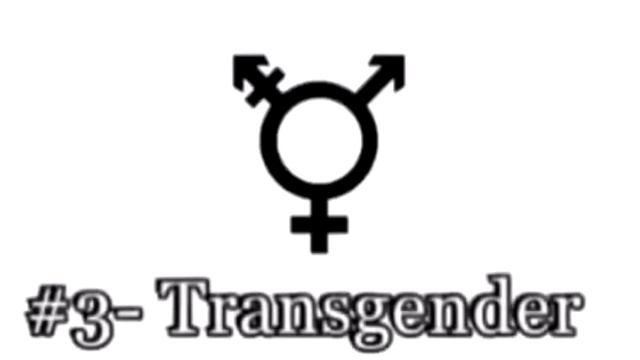 This gender does not exist! (36 facts about 36 genders) смотреть онлайн