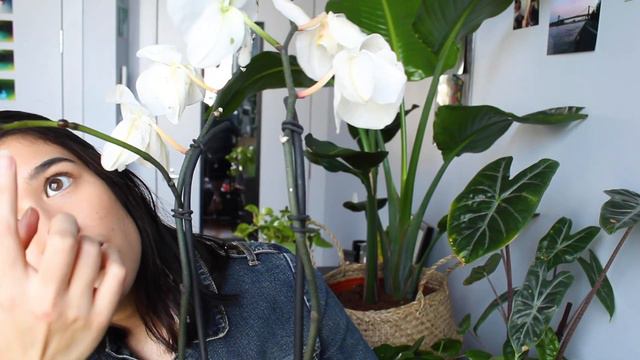 5 FAST GROWING PLANTS That Make Me a Proud Plant Mama | NEW GROWTH on My House Plants and Flowers!