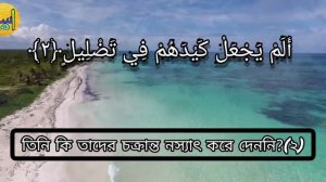Surah Al-Fil and its Bengali translation with Osama Bin Kibria