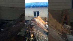 Село Никольское Донецкая область