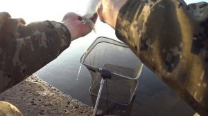 Эти бойлы заработали когда клёв закончился! Карась и лещ на фидер на водохранилище