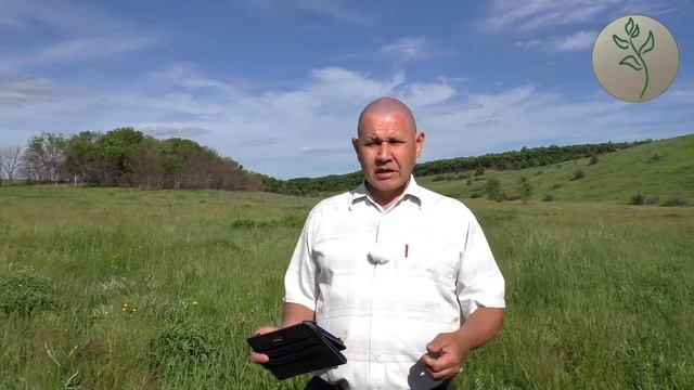 13. Хорошее начало, плохой конец. Иеровоам смотреть онлайн