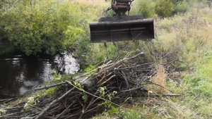 Удаляем Две Бобровые плотины