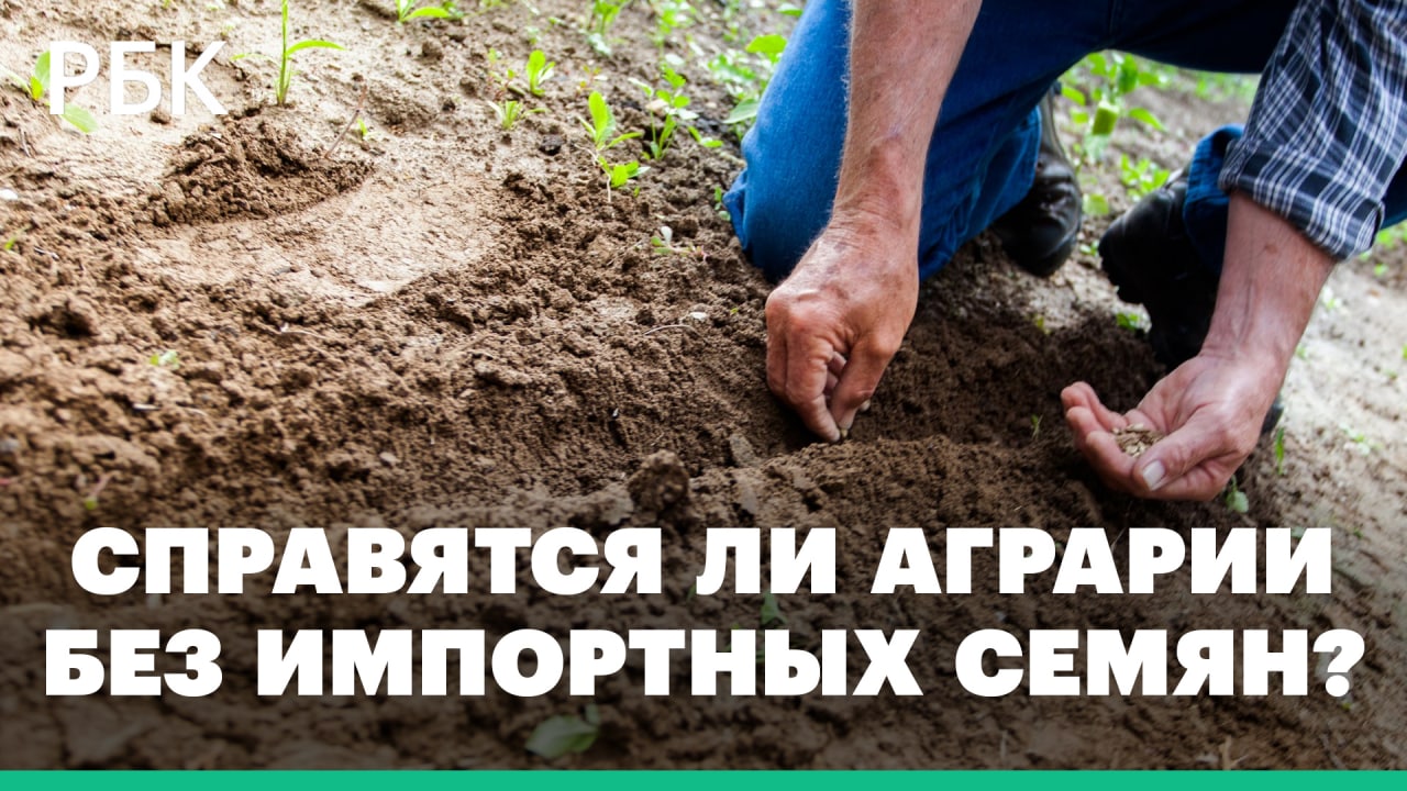 Насколько Россия зависит от импорта в сельском хозяйстве?