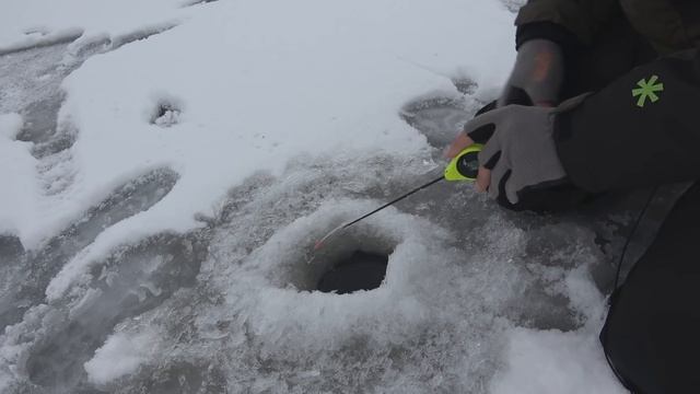 Наловили с проруби!!! РЫБАЛКА на СТАРОМ ПРУДУ с ЖЕРЛИЦАМИ и МОРМЫШКОЙ смотреть онлайн