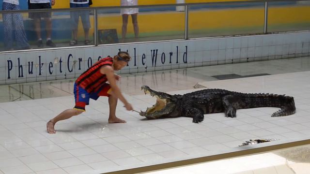 Шоу крокодилов Пхукет, Тайланд смотреть онлайн