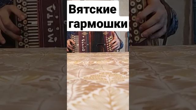 Виды гармоней: вятские с косыми  (кирилловскими) басами #гармонь #гармошка