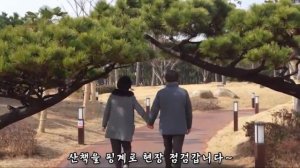 사하의 휴일 : 구청장의 하루