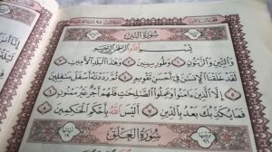 Сура ваттин