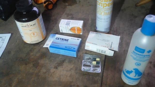 Бугай Алабай. Лечим болячки на ногах у Тотоса. смотреть онлайн