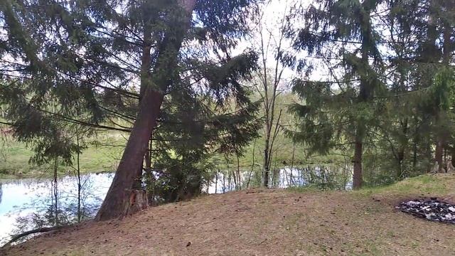 Услышал рябчика(слушайте в наушниках или звук на 100%) смотреть онлайн