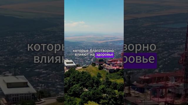 Самый дешёвый город с минеральными источниками смотреть онлайн