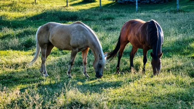 Музыка для восстановления сил и энергии, для спокойного и крепкого сна/Music for relaxation. смотреть онлайн