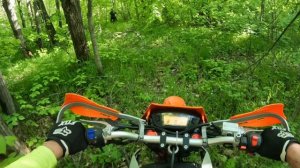 Семейные покатушки выходного дня