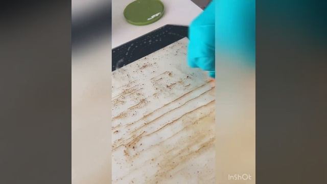 Мама чистит дверцу духовки?? смотреть онлайн