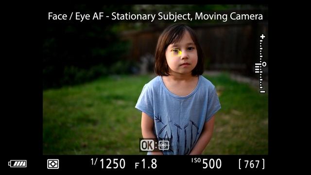 Nikon Z6 and Z7 Eye and Animal Detection AF Performance смотреть онлайн