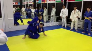 Дзюдо комбинация Ko Uchi Makikomi - Drop Seoi Nage.