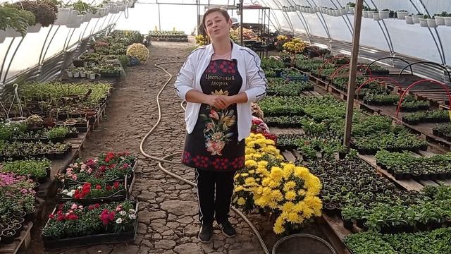 Видео приветствие.Добро пожаловать на канал "Цветочный Дворик" смотреть онлайн