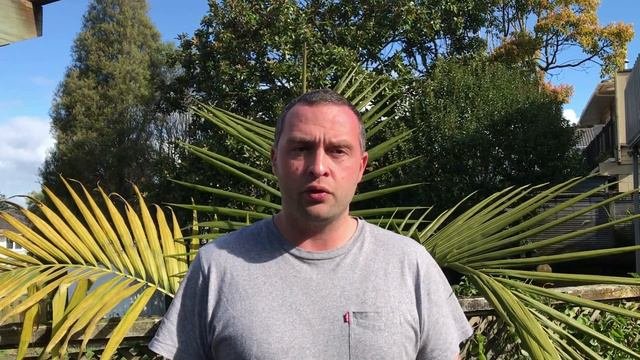 С чего я начал пчеловодство в Новой Зеландии Часть 2