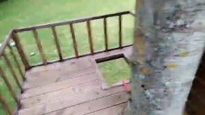 Домик на дереве для детей!!!