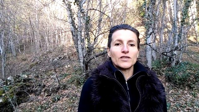 Психологический возраст. Вся правда о Михаиле Дашкиеве