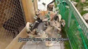 Слева брат! Справа брат!
