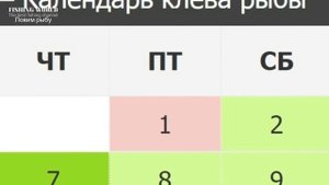Календарь рыбака на Сентябрь Прогноз клева рыбы Лунный Календарь рыбака 2023!