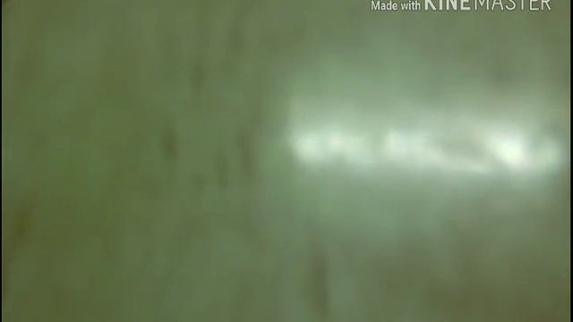 Мои лепки из пластилина и кот ? смотреть онлайн