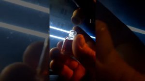 Лайфхак приятный запах в салоне автомобиля долго и недорого
