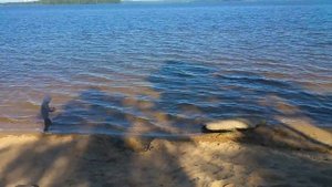 Десногорск. Пляж у стенки. Смоленская АЭС.