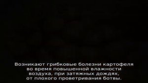 Болезни картофеля