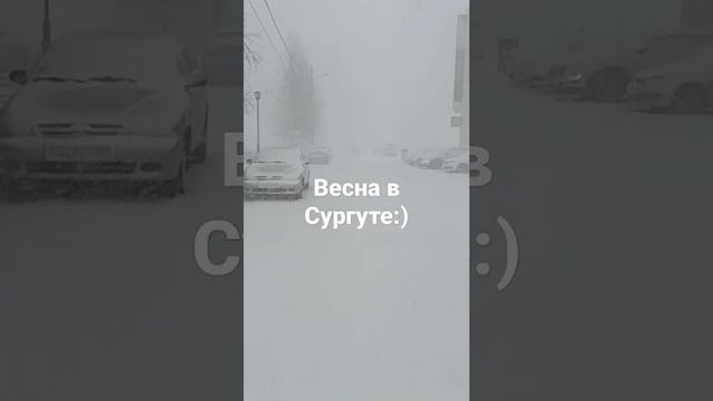 Typical Spring in Surgut