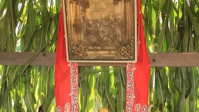 Яблочный спас - 2019 год, село Пены, Беловского района, Курской области смотреть онлайн