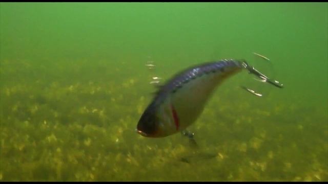 Product Infotube Strike Pro Flap Jack