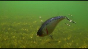 Product Infotube Strike Pro Flap Jack