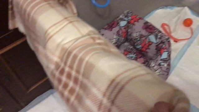 Обзор на Немецкого шпица Лаки ??? смотреть онлайн