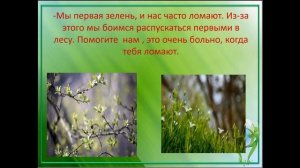 презентация жалобная книга природы