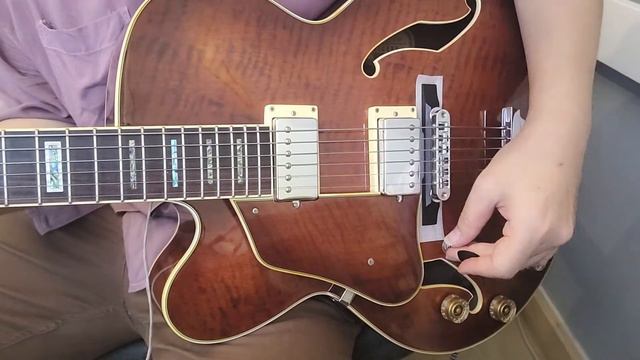 Test Ibanez AF85-VLS-12-01 Made in China смотреть онлайн