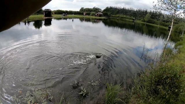 Ловля форели на платнике. Vesthimmerland put and take. смотреть онлайн