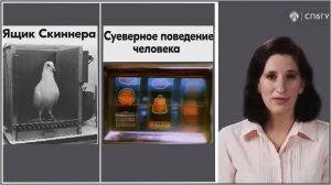 [25] - Суеверное поведение. (stopsoznanie.ru)