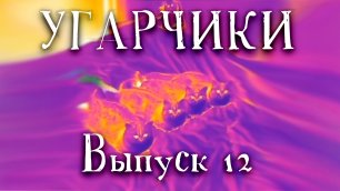 Угарчики (Выпуск 12.1).mp4