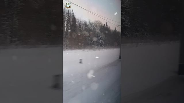 ⛄ Зимняя сказка из окна поезда #shorts #short